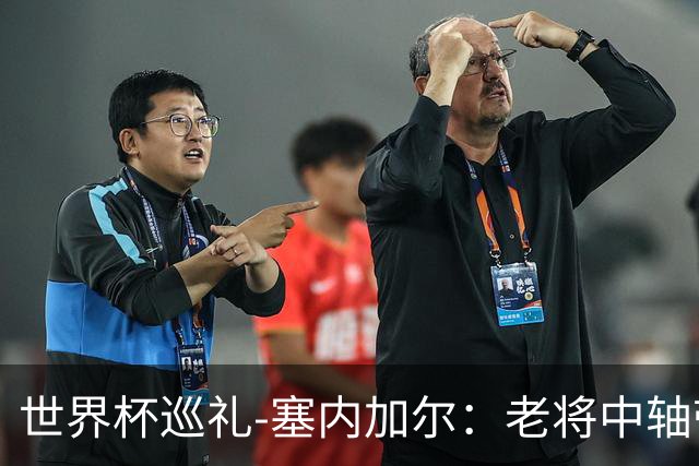 世界杯巡礼-塞内加尔：老将中轴带来安全感，非洲顶流前景可期！