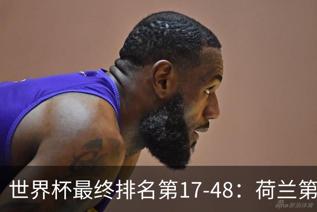 世界杯最终排名第17-48：荷兰第17德国第18 日本第21
