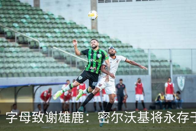 字母致谢雄鹿：密尔沃基将永存于我心里 这里永远都是我的家
