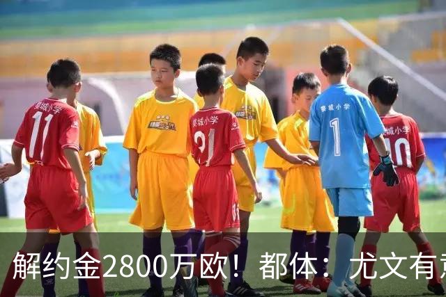 解约金2800万欧！都体：尤文有意签下博洛尼亚后卫卢库米
